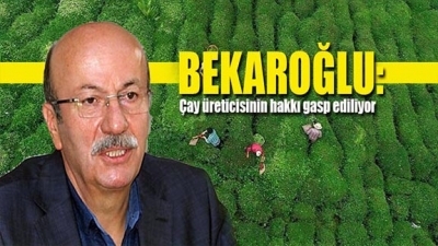 Mehmet Bekaroğlu: Çay üreticisinin hakkı gasp ediliyor