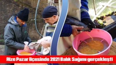 Rize Pazar ilçesinde 2021 Balık Sağımı gerçekleşti